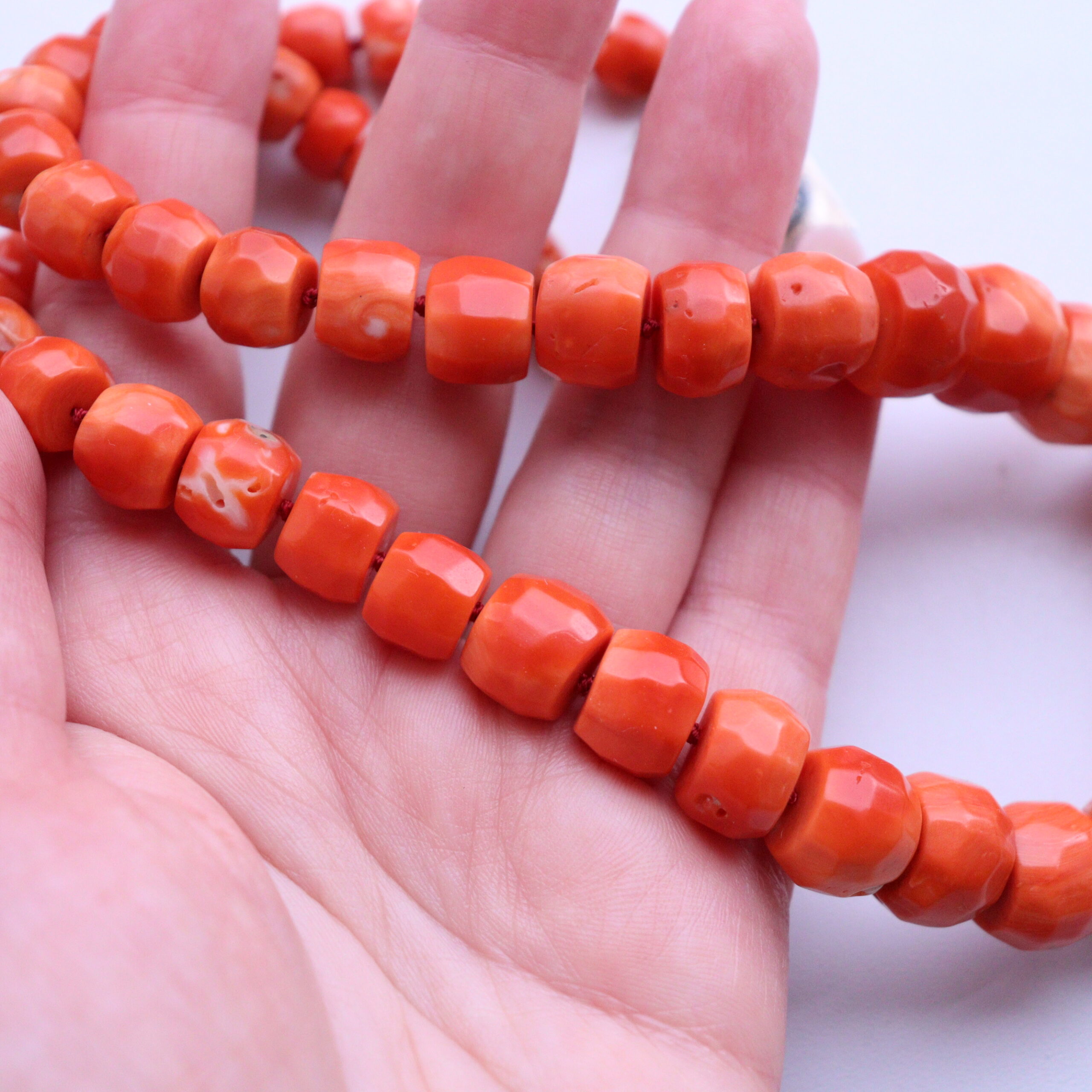 IMG_0527